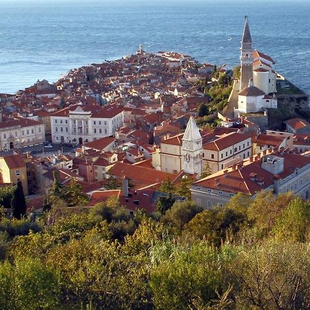 Sea View Istrian Countryside Apartment - Rota Dragonja Dış mekan fotoğraf