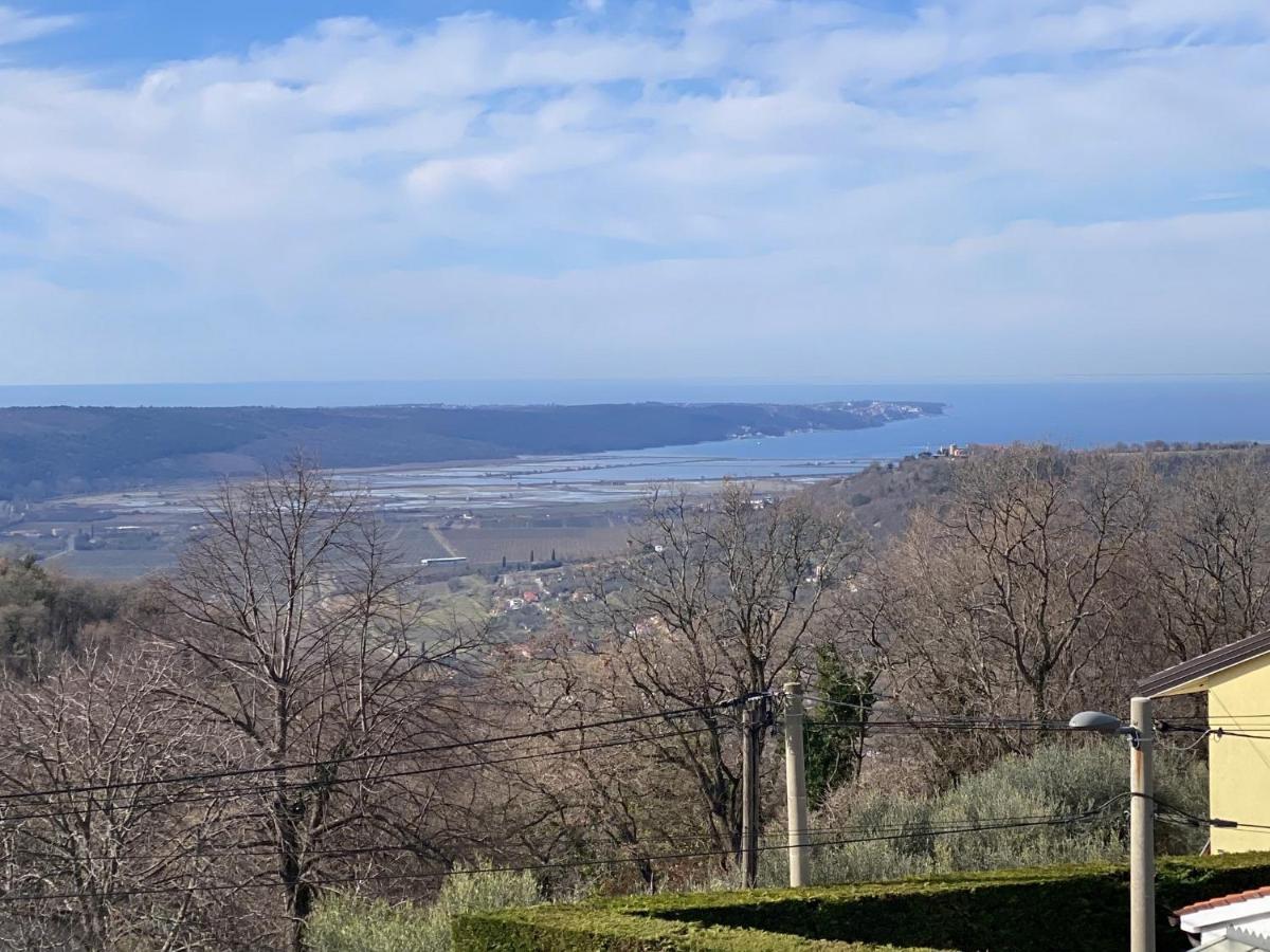Sea View Istrian Countryside Apartment - Rota Dragonja Dış mekan fotoğraf
