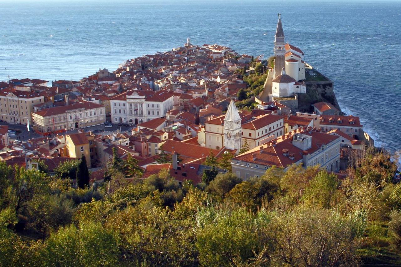 Sea View Istrian Countryside Apartment - Rota Dragonja Dış mekan fotoğraf